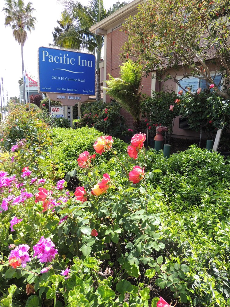 Pacific Inn of Redwood City - photo 67