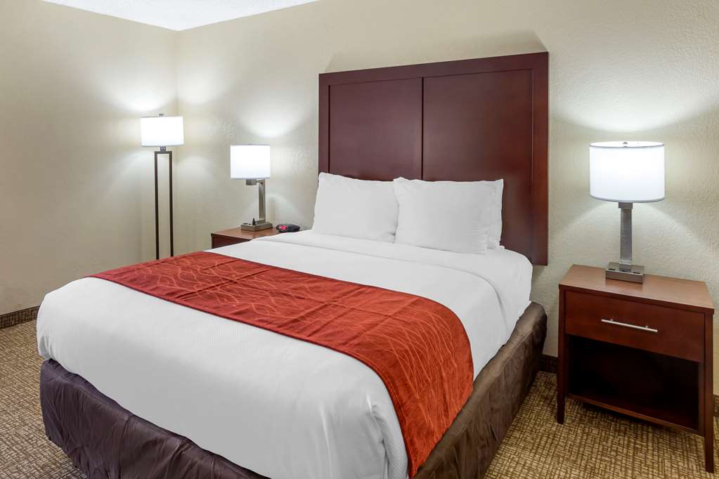 Comfort Inn Hoffman Estates Schaumburg - photo 5