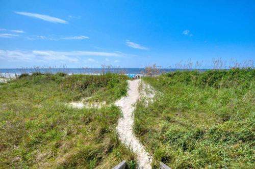 Dune Alright - photo 7