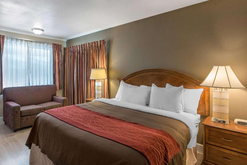 Rodeway Inn Redding - photo 22
