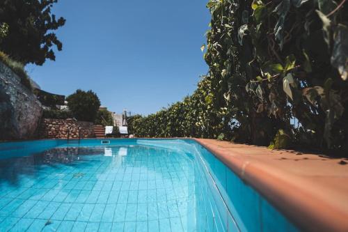 Labyrinth. The Wild life of Crete in Chania, Greece
