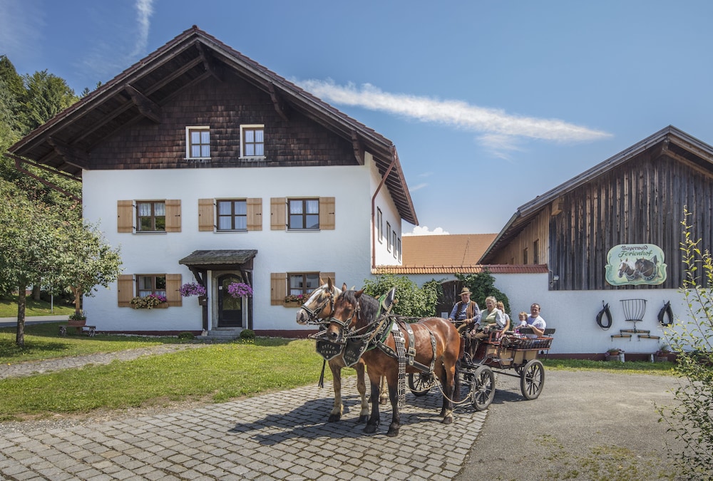 Bayerwald Ferienhof Schmid — 4-Star Luxury Hotel in Innernzell, Germany