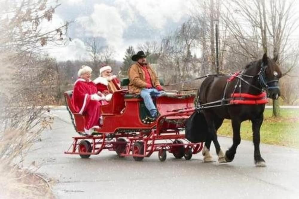 Camelot Restaurant & Inn - photo 46