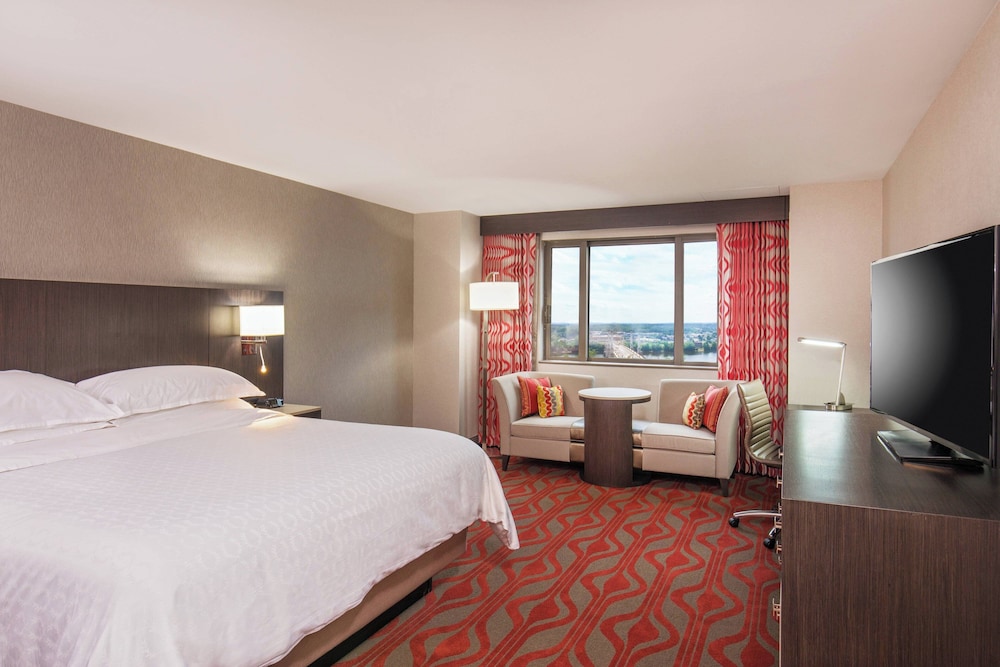 Sheraton Springfield Monarch Place Hotel - photo 6