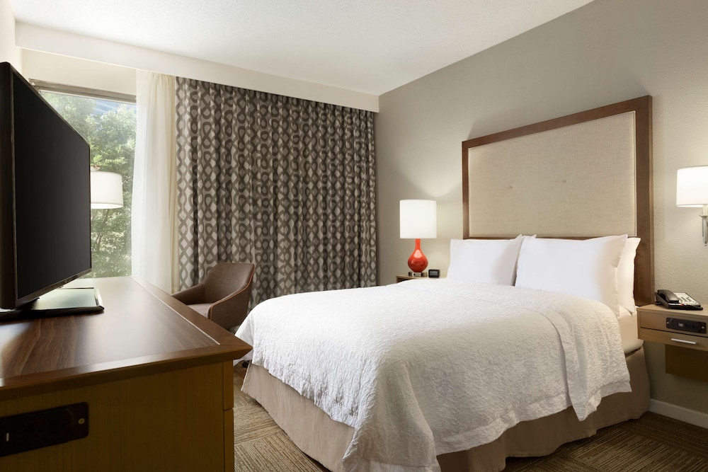 Hampton Inn Atlanta Buckhead - photo 8