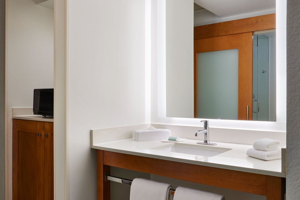 SpringHill Suites San Antonio Downtown Riverwalk Area - photo 15
