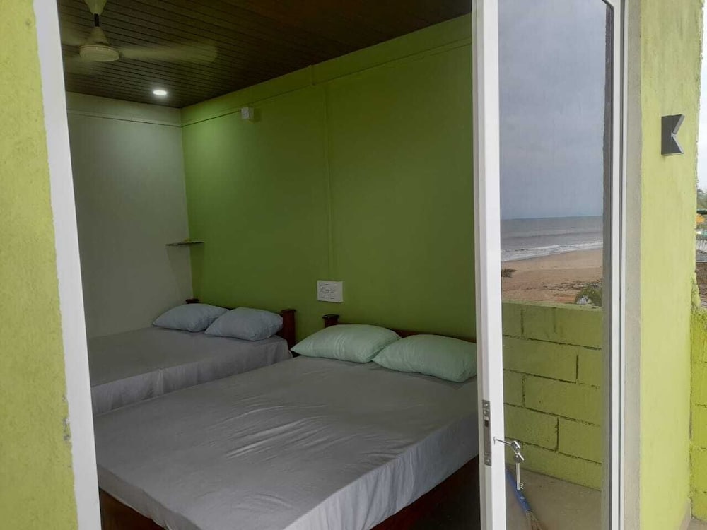 Green tune — Gokarna — photo 4