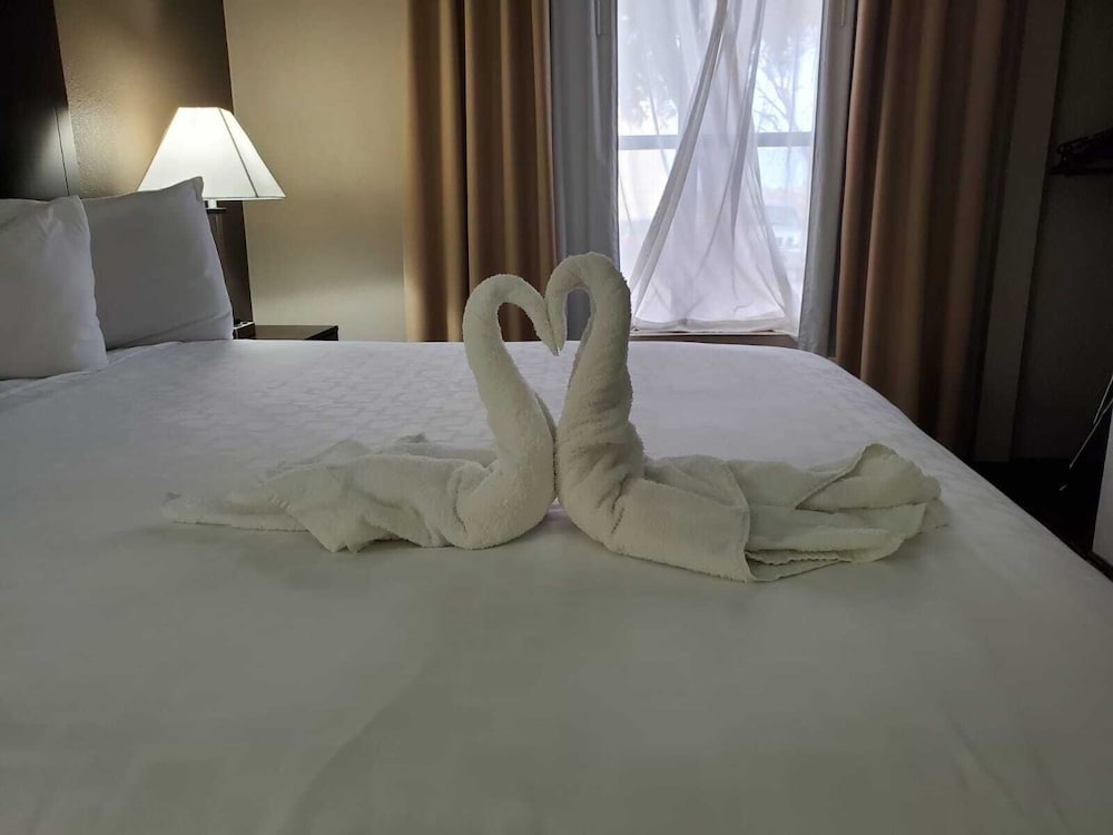 Comfort Suites Plano East Richardson - photo 16