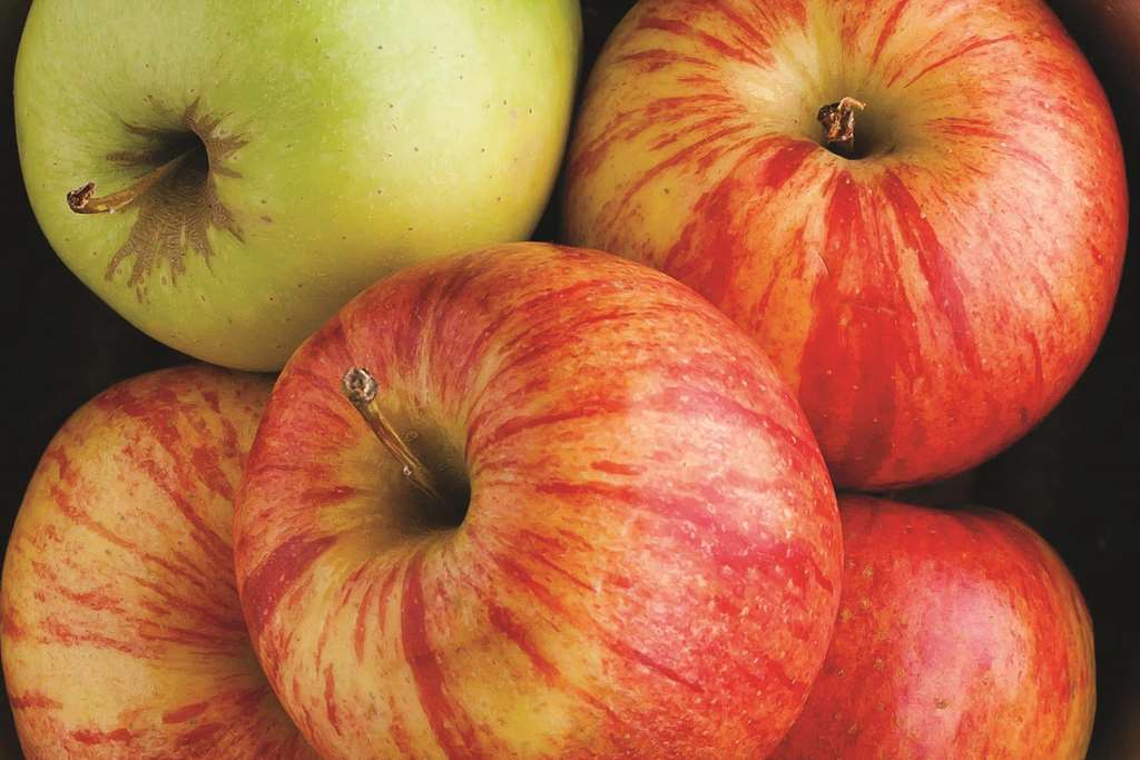 La Quinta Inn & Suites by Wyndham Atlanta Conyers - photo 39