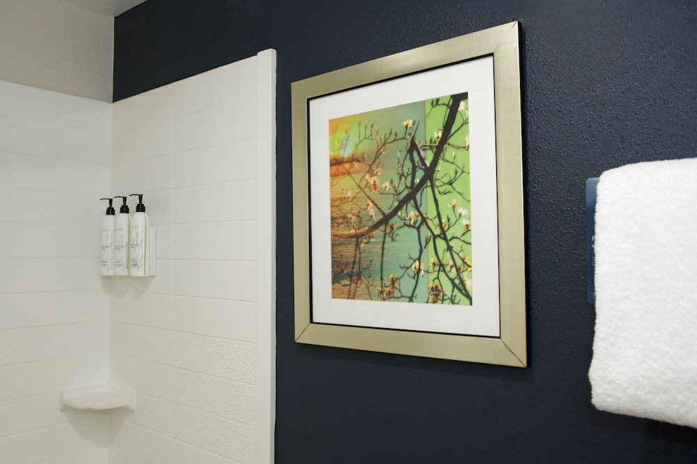 Fairfield Inn & Suites By Marriott Memphis Germantown - photo 10