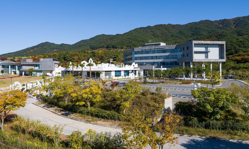 Hotel Ohevday in Nangen, South Korea