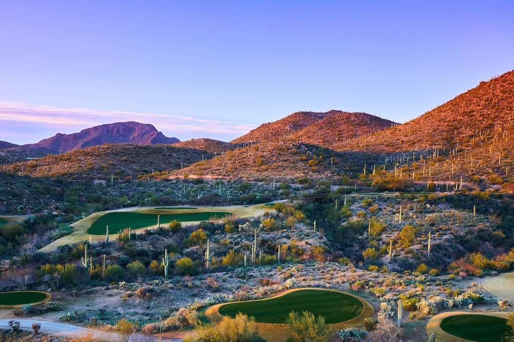 JW Marriott Starr Pass Resort and Spa - photo 12
