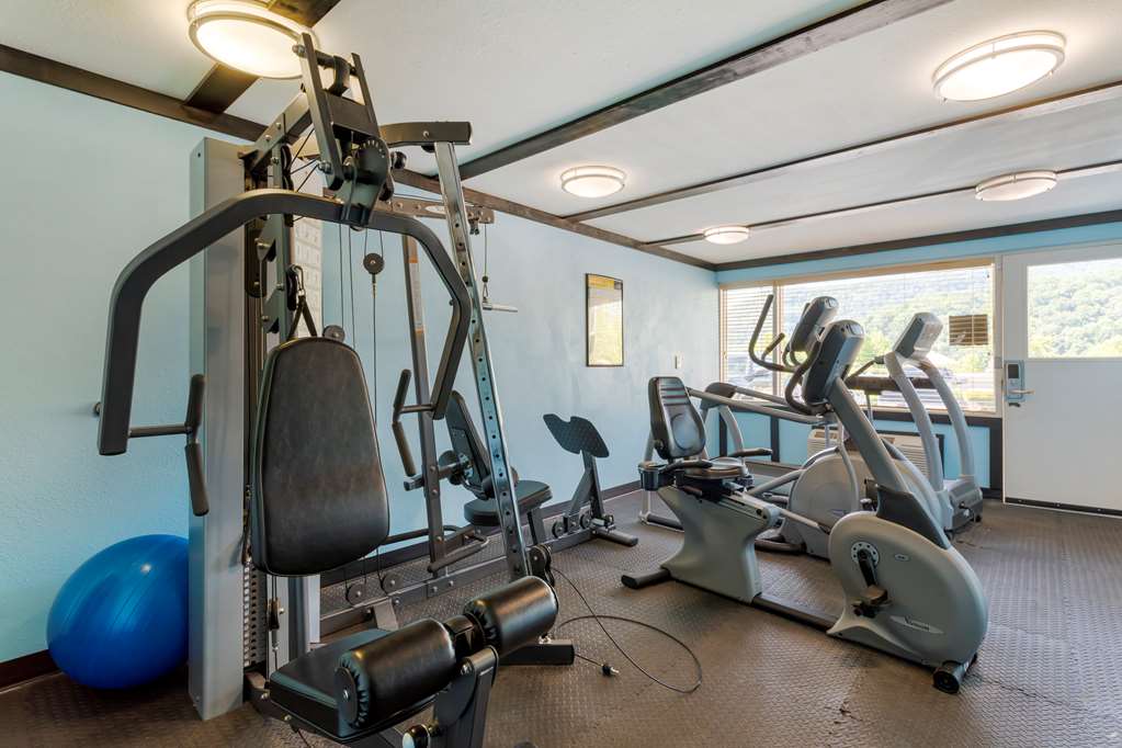 Best Western Smoky Mountain Inn - photo 20