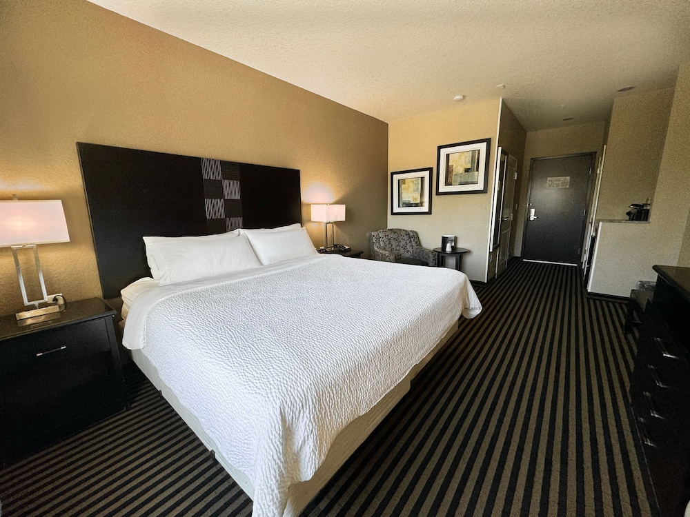 Holiday Inn San Antonio N Stone Oak Area by IHG - photo 10