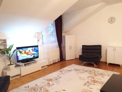 Karin House