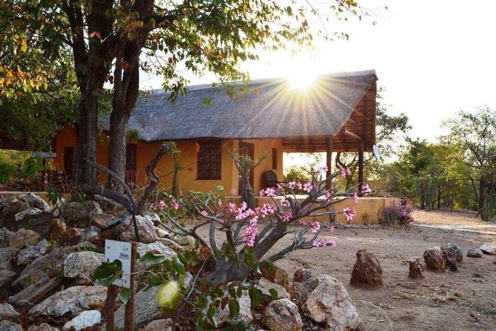 Bushvilla’s Silonque in Phalaborwa, South Africa
