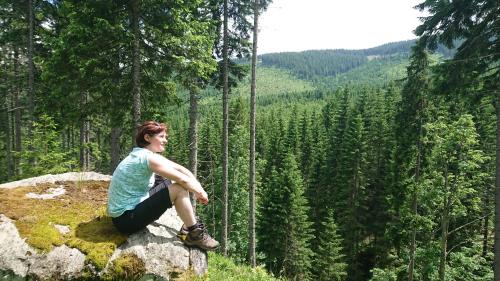 Ferienhaus Lärchenhütte in Wolfsberg, Austria