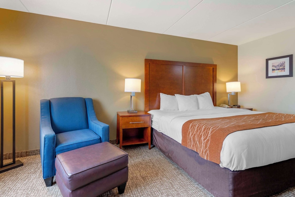 Comfort Inn & Suites Wilkes Barre Arena - photo 22