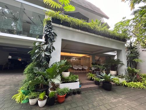 Annie Kuca — Jakarta — photo 3