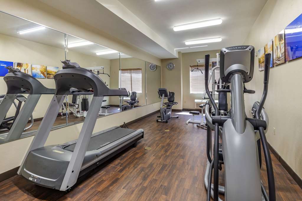 Comfort Suites Plano Dallas North - photo 21