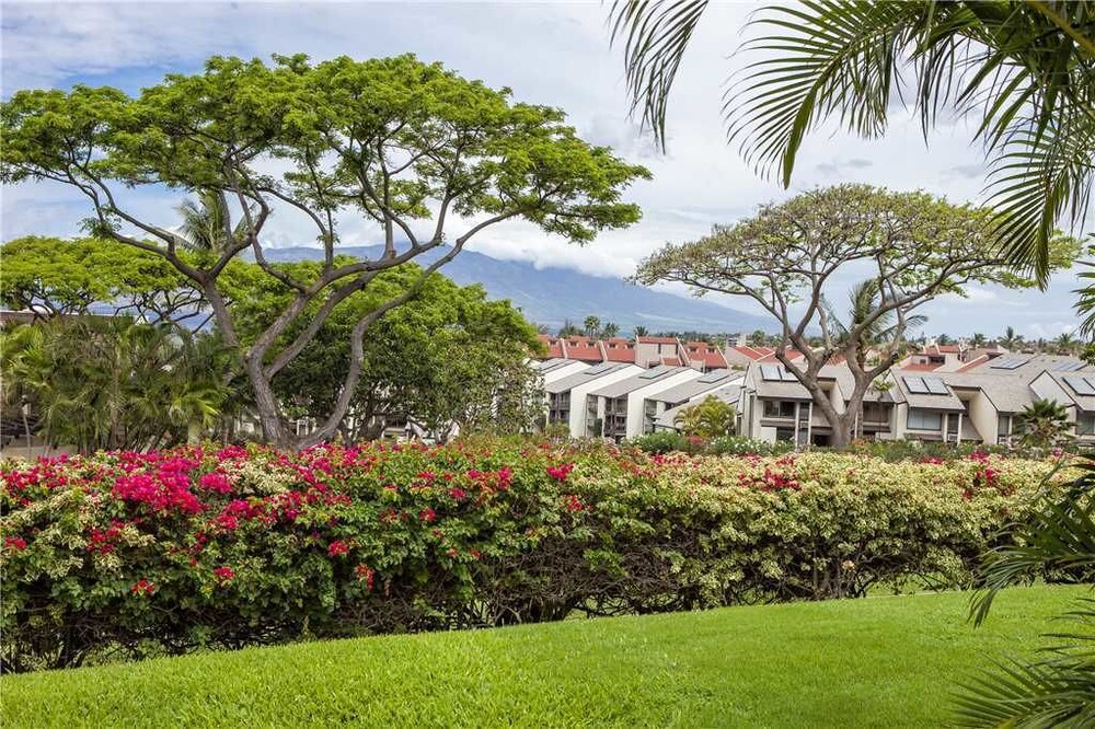 Maui Kamaole #H 111 - photo 24