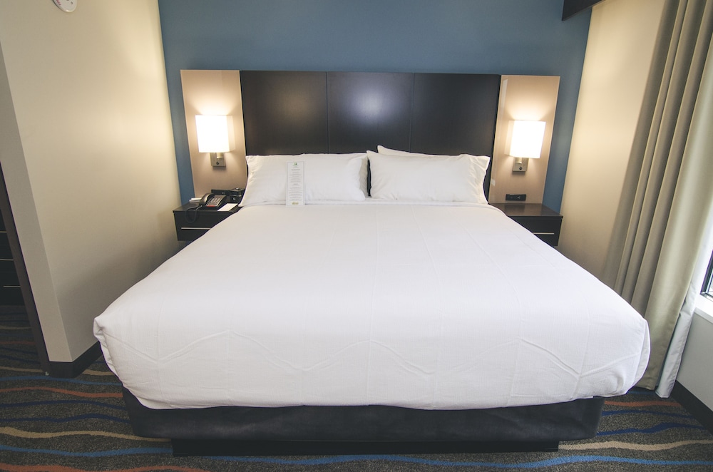 Holiday Inn Hotel & Suites Chattanooga Downtown by IHG - photo 13