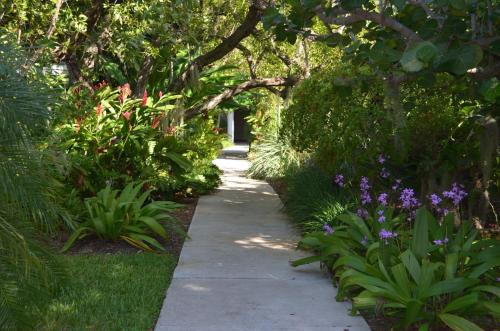 Ocean Hideaway on the Atlantic - photo 24