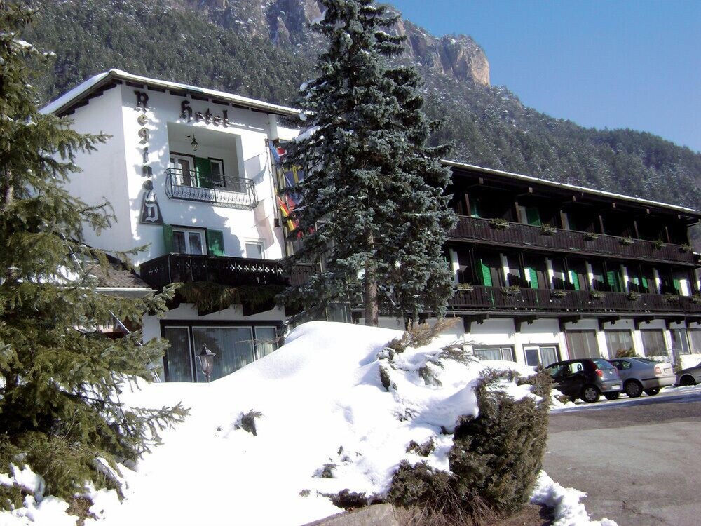Hotel Regina delle Dolomiti — hotel in Panchia