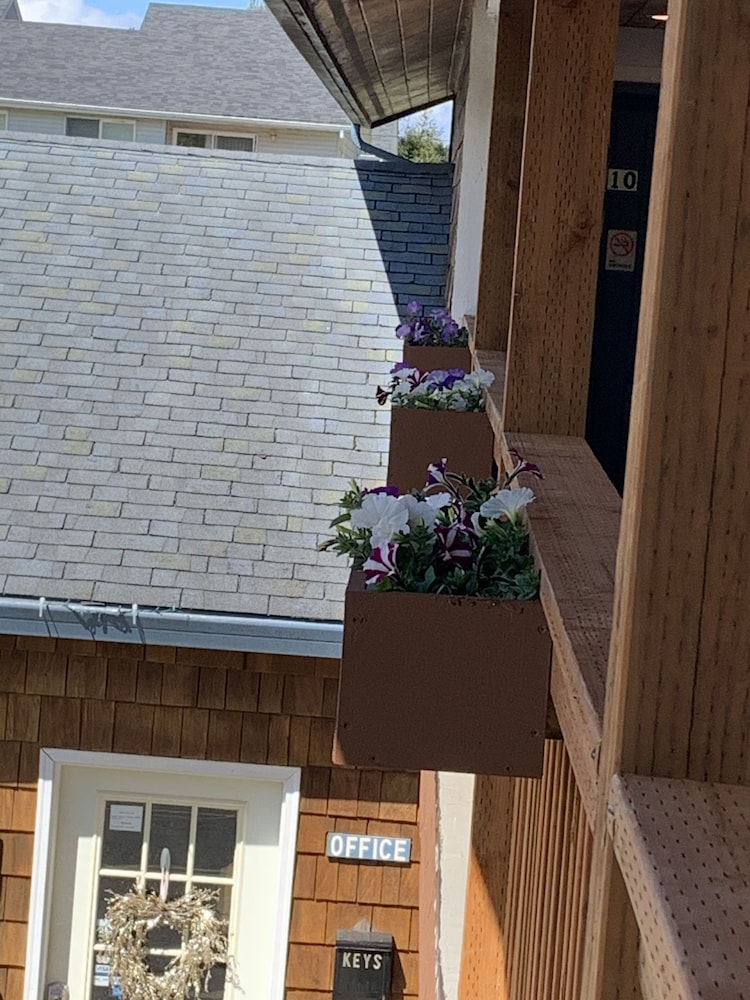 South Jetty Inn - photo 163