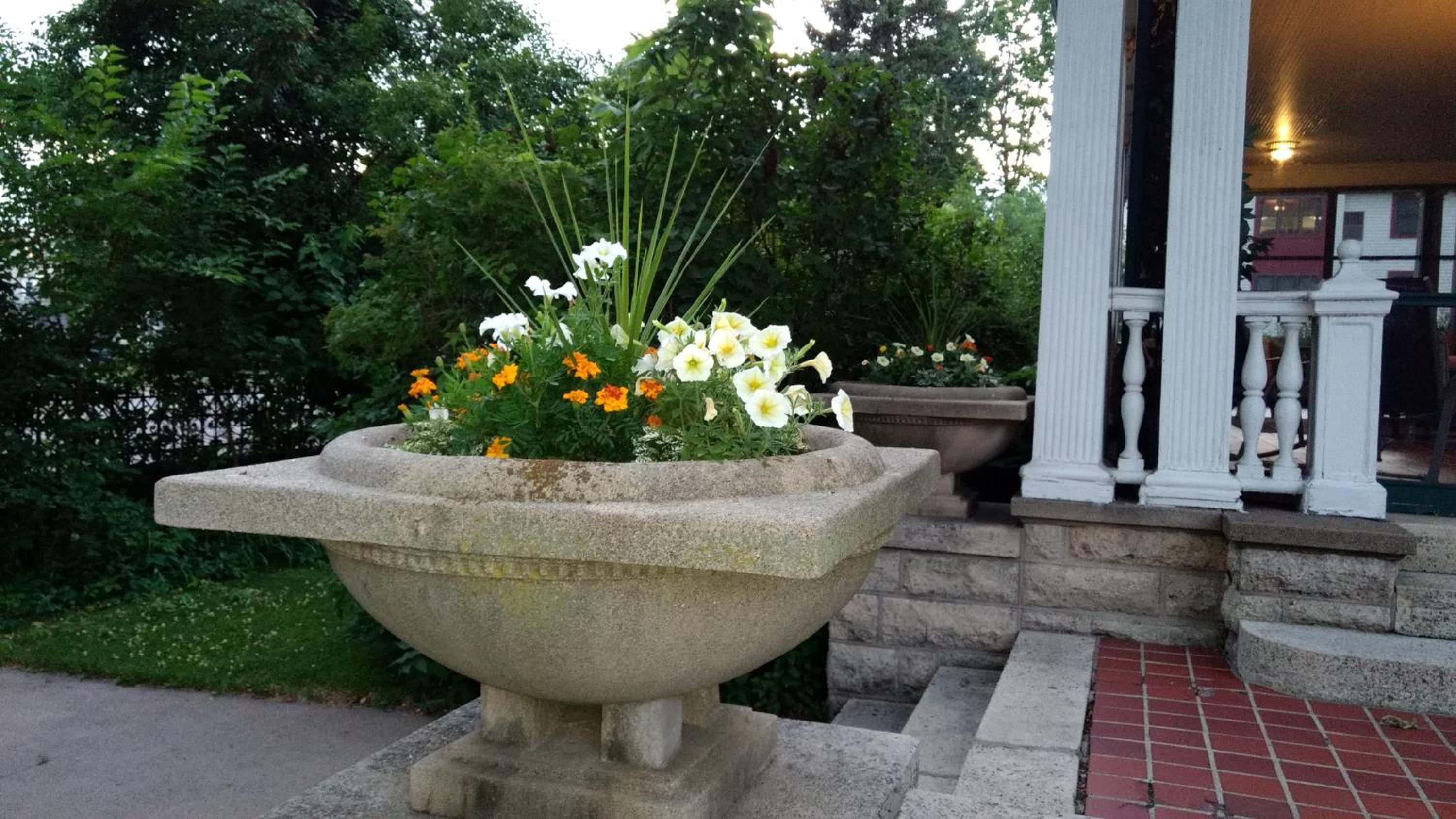 Alexander Mansion Bed and Breakfast - photo 38