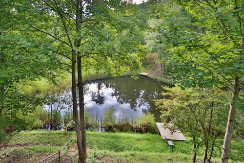 Shellie's Chateau - photo 29