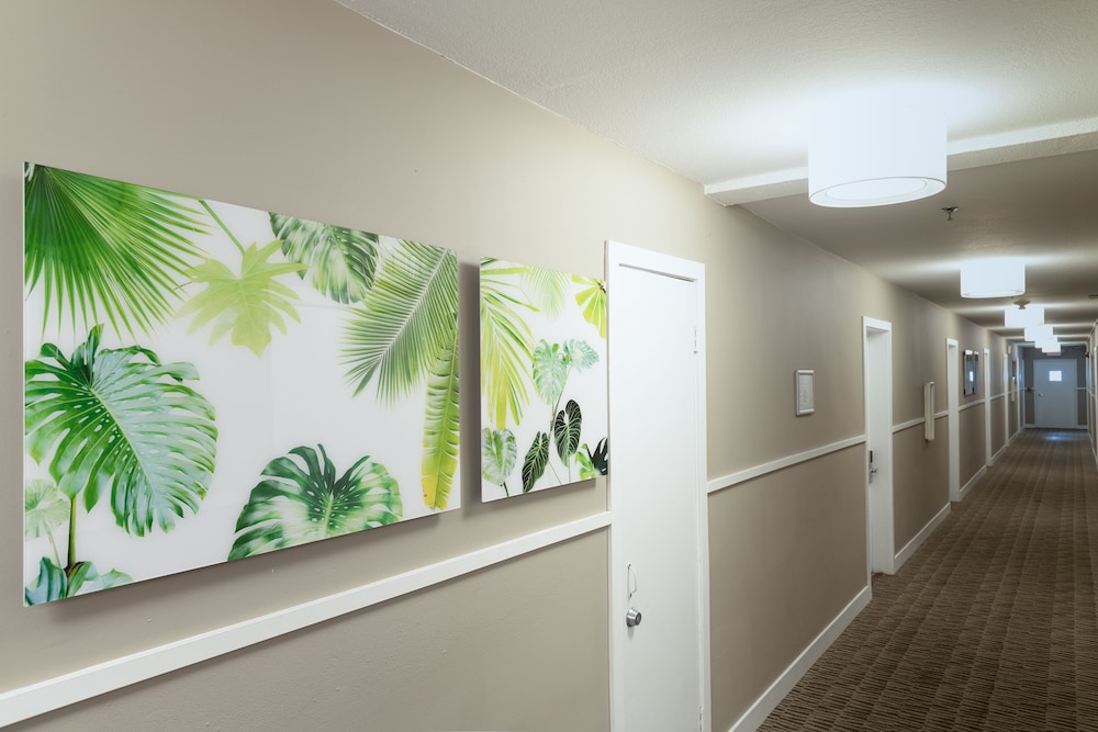 President Hotel - photo 136