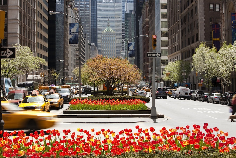 Loews Regency New York Hotel - photo 210