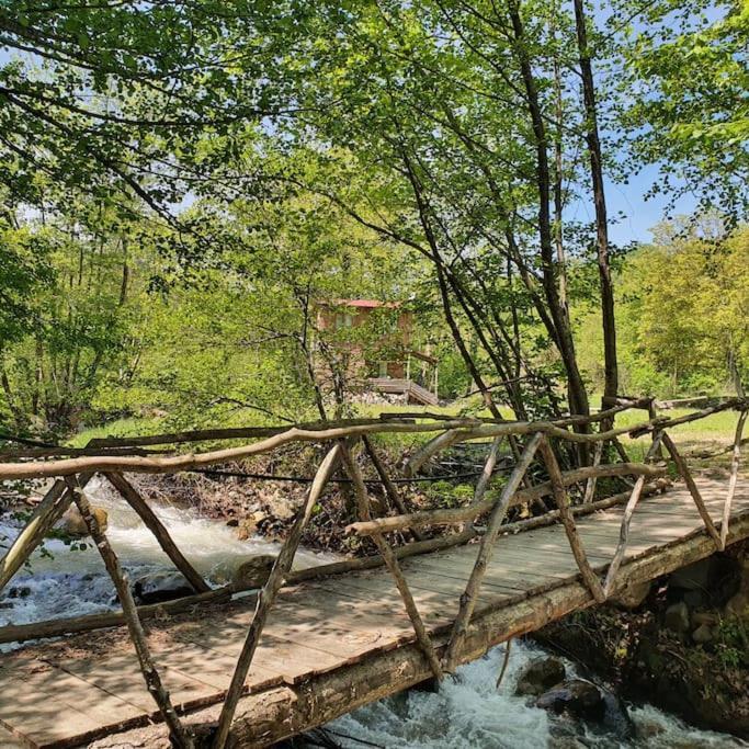 Doganın Kalbinde Dogallıkla Bulusma Noktası in Inegol, Turkey