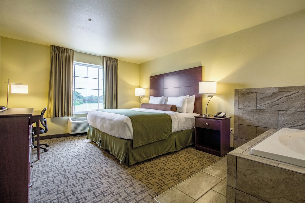Cobblestone Hotel & Suites Orrville - photo 22