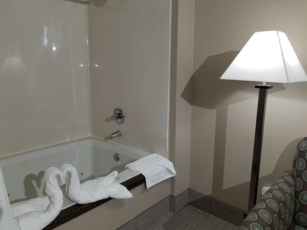 Comfort Suites Plano East Richardson - photo 46