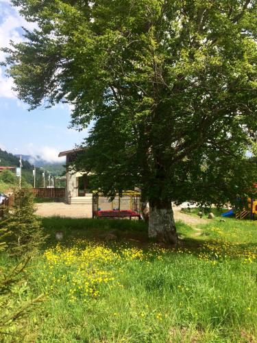 Villa Didveli Bakuriani