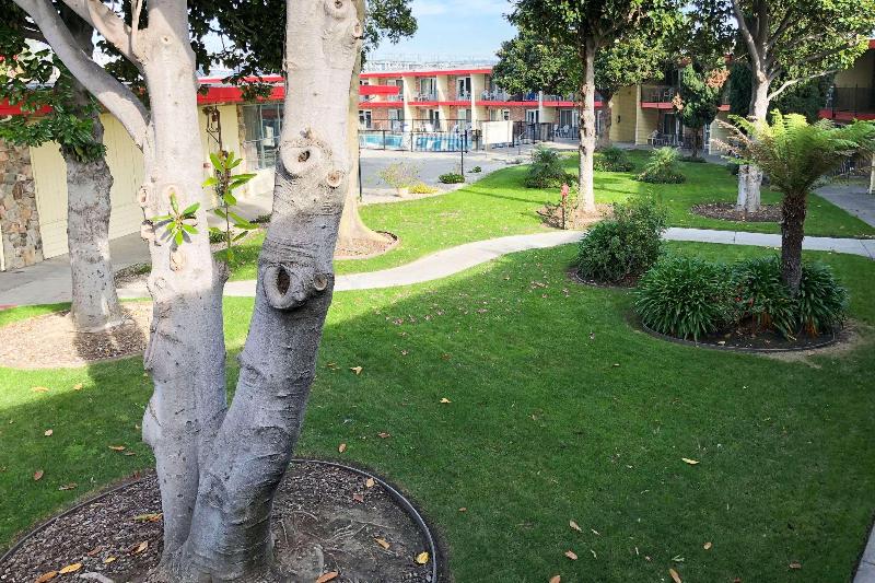 Econo Lodge Inn & Suites Oakland Airport - photo 33