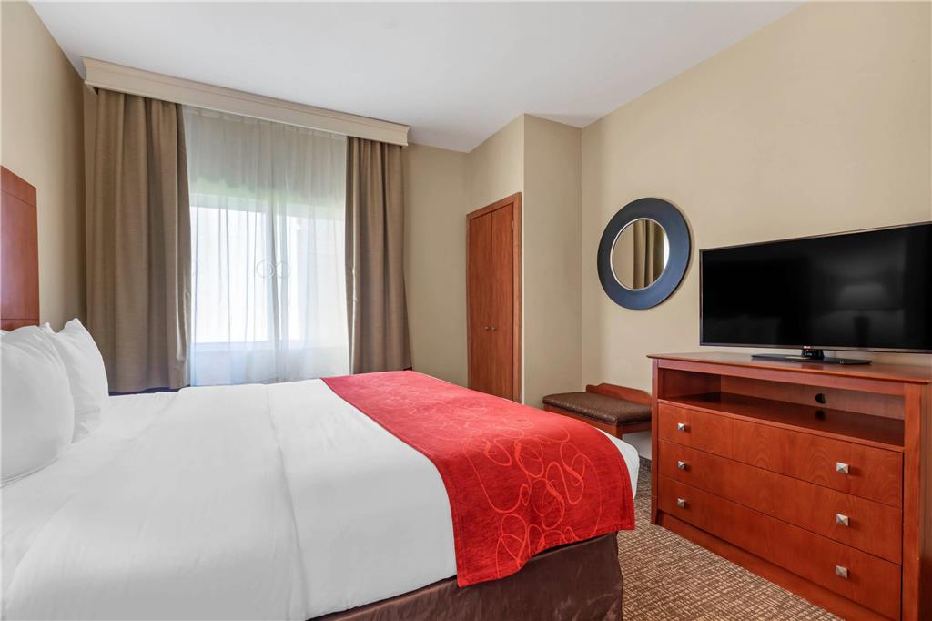 Comfort Suites North Dallas - photo 7