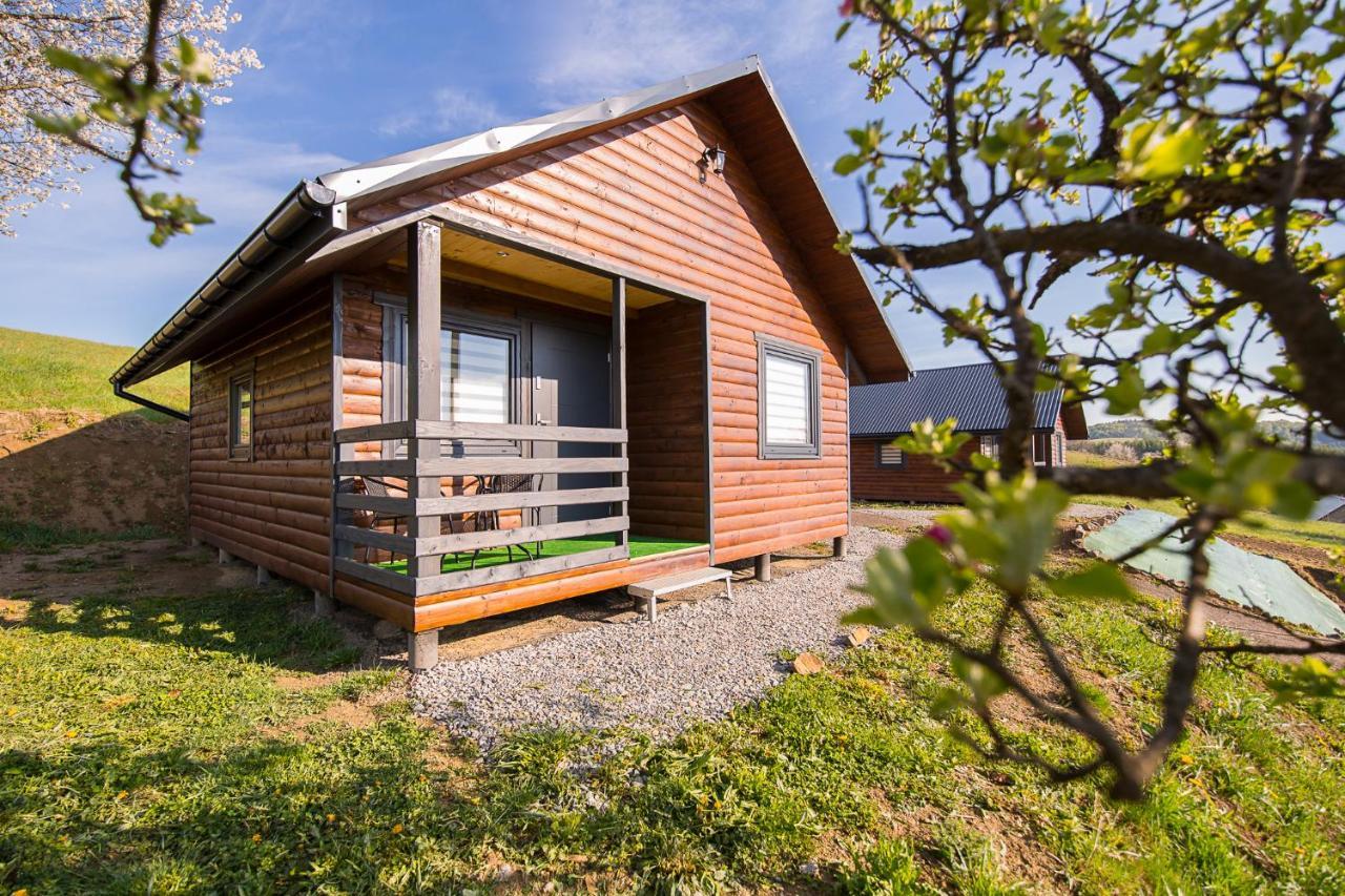 Domki Pod Roztoczka in Lesko, Poland