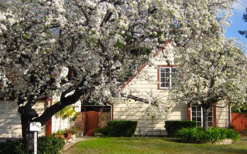 Coastal Hideaway - carbon neutral hotel in Carlsbad