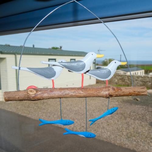 Kittiwake — Montrose