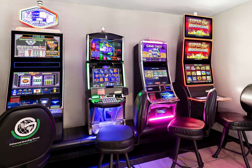 Best Western Saluki Inn - photo 10