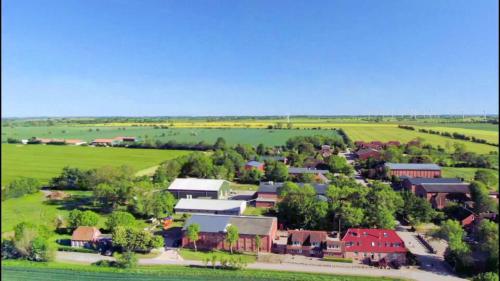 Kastanie in Fehmarn, Germany