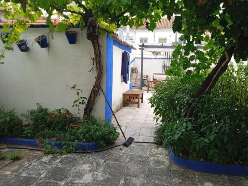 Piso Completo 5 Personas in Albacete, Spain