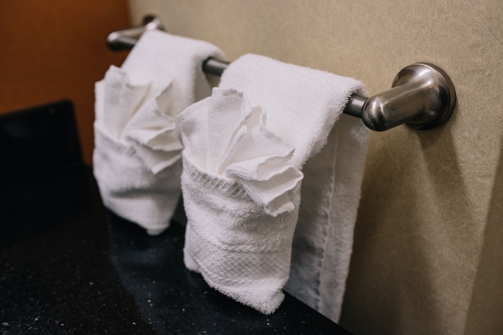 Hampton Inn & Suites Effingham - photo 61