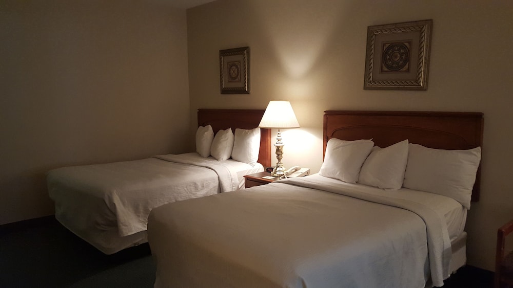 Gold Vault Inn - photo 8