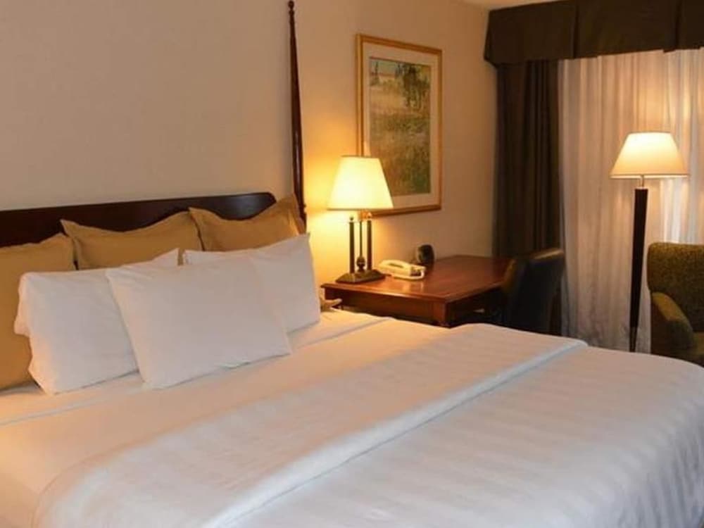 Chapel Hill University Inn - photo 21