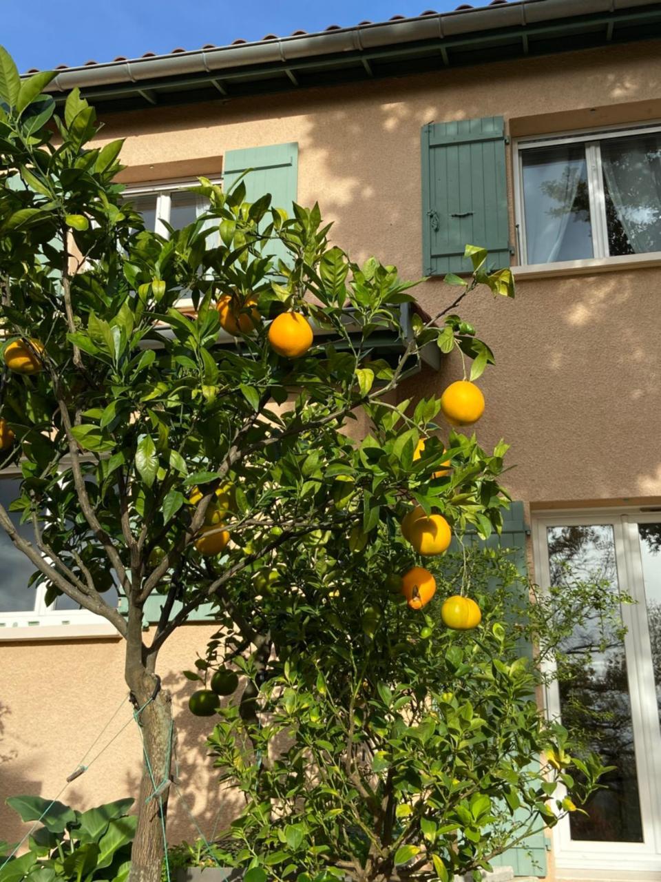 Le Relais Des Malettes Chambres D’hotes B&B — Francheville — photo 2