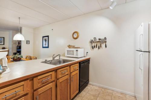 Pinnacle D09 - photo 3